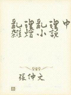 乱理乱理中文大杂烩小说