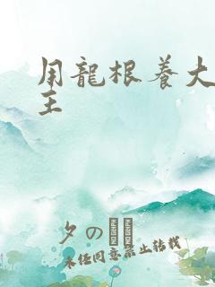 用龙根养大的公主