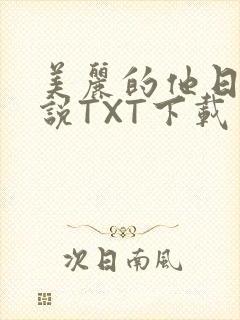 美丽的他日剧小说TXT下载