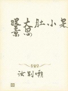 眼大肚小是什么意思