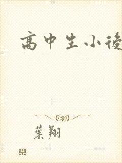 高中生小后妈