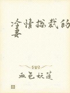 冷情总裁的出逃妻