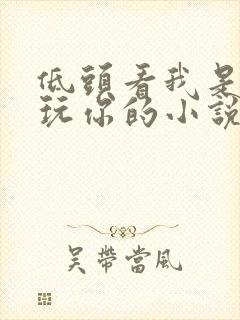 低头看我是怎么玩你的小说