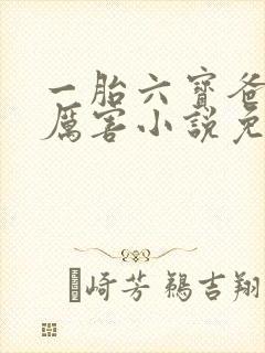 一胎六宝爸比好厉害小说免费阅读