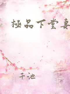 极品下堂妻