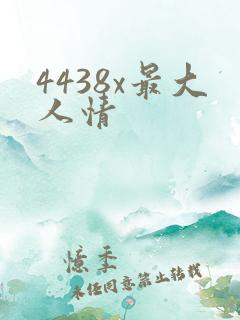4438x最大人情
