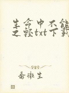 生命中不能承受之轻txt下载