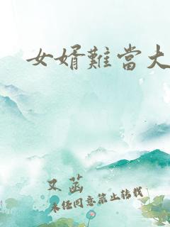 女婿难当大结局