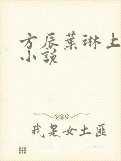 方辰叶琳上官步小说