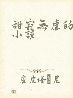 甜宠无虐的军婚小说