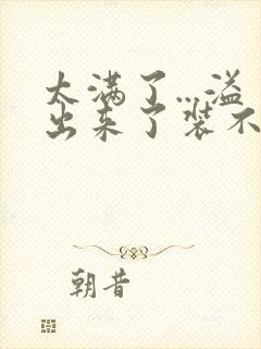 太满了...溢出来了装不下了