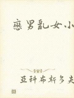恋男乱女小说