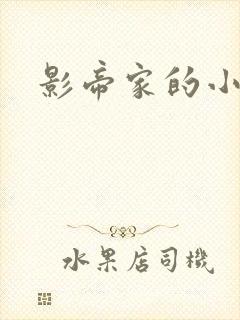 影帝家的小厨娘