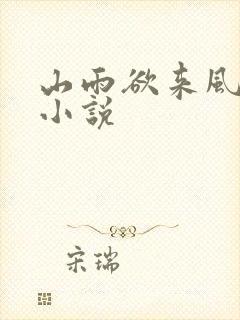 山雨欲来风满楼小说