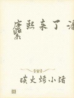 康熙来了 潘迎紫