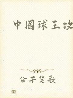 中国球王攻略