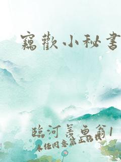 窃欢小秘书