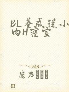 BL养成从小被肉H寝室