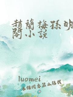 赵兰梅孙明笔趣阁小说