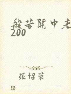 般若关中老人5200