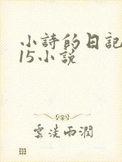 小诗的日记1一15小说