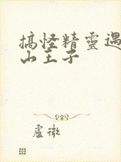 搞怪精灵遇上冰山王子