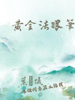 黄金法眼笔趣阁