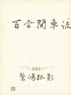 百合开车流污水