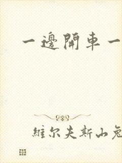 一边开车一边做