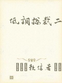 低调总裁二手妻