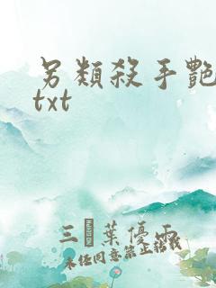 另类杀手艳福星txt