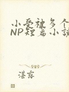 小受被多个攻强NP短篇小说