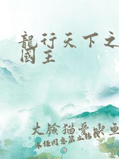 龙行天下之真假国主