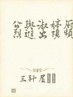 公与淑婷厨房猛烈进出视频