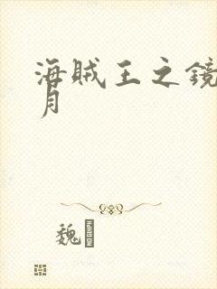 海贼王之镜花水月