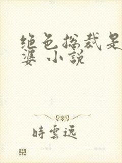 绝色总裁是我老婆 小说