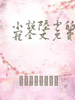 小说陆少的心尖宠全文免费阅读