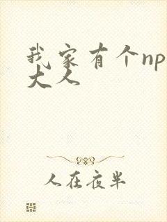 我家有个npc大人