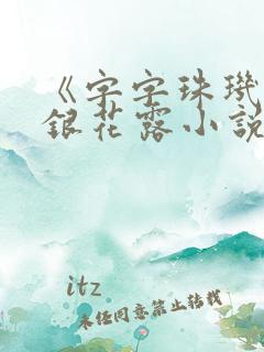 《字字珠玑》金银花露小说