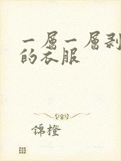 一层一层剥掉你的衣服