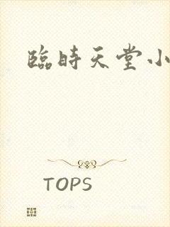临时天堂小说