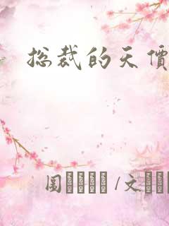 总裁的天价宝贝