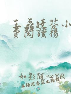 王磊晓芬小说免费阅读杨