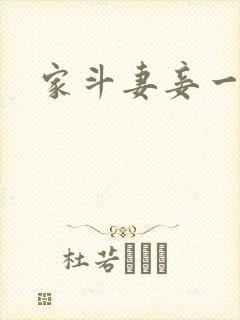 家斗妻妾一家欢