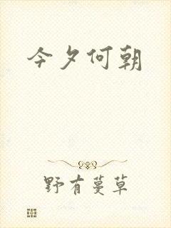 今夕何朝