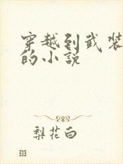 穿越到武装少女的小说