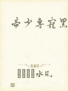 帝少专宠黑道妻