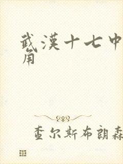 武汉十七中女主角