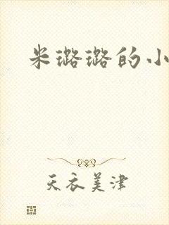 米璐璐的小说