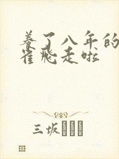 养了八年的金丝雀飞走啦